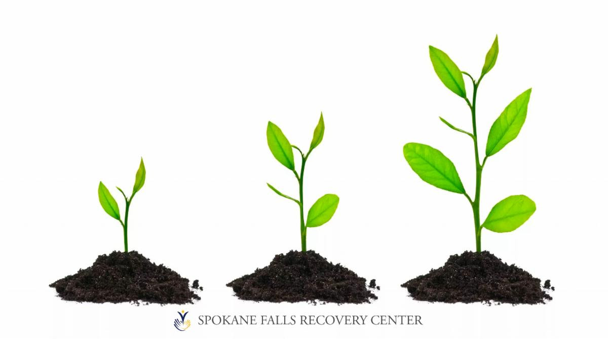 spokane falls recovery center june newsletter